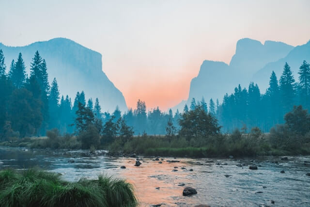 Landscape — Morning Mist